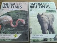 DVD Daheim in der Wildnis Elefanten + Adler, Geier, Flamingos Brandenburg - Falkensee Vorschau