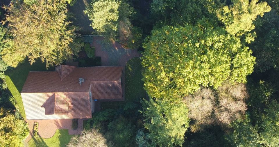 Einfamilienhaus mit gehobener Ausstattung und kleinem Wald in Hesel in Hesel