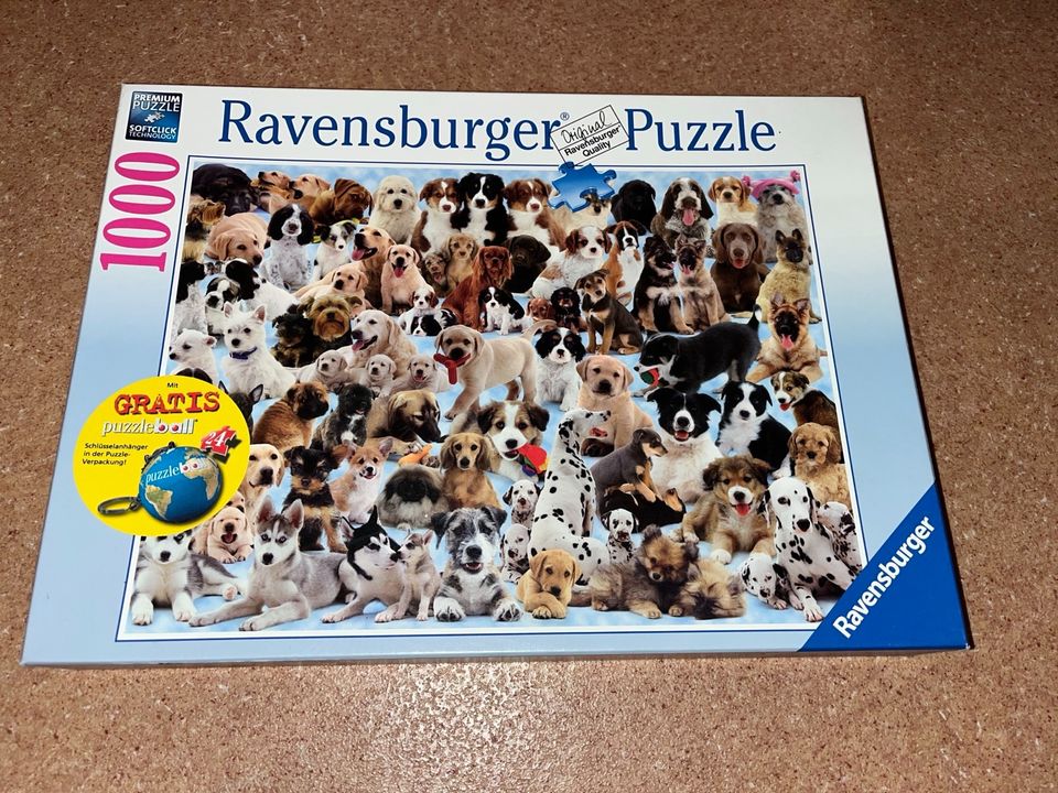 Ravensburger Puzzle 1000 in Landau in der Pfalz