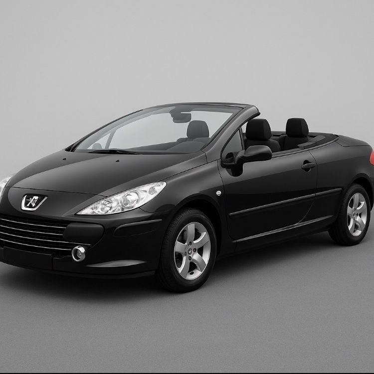 Abbildung des Autos Peugeot 307 CC Tendance …
