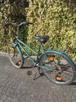 Fahrrad  grün / 26 Zoll / 12 Gänge Kreis Ostholstein - Ratekau Vorschau