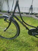 Fahrrad 28 Zoll Niedersachsen - Lohne (Oldenburg) Vorschau