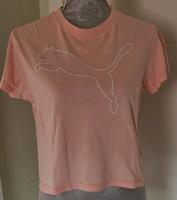 Puma Shirt T-Shirt Sportshirt Größe XS / 34 Mecklenburg-Vorpommern - Stralsund Vorschau