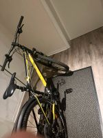 ROXTER 2.0 EQ Fahrrad Bad Godesberg - Mehlem Vorschau