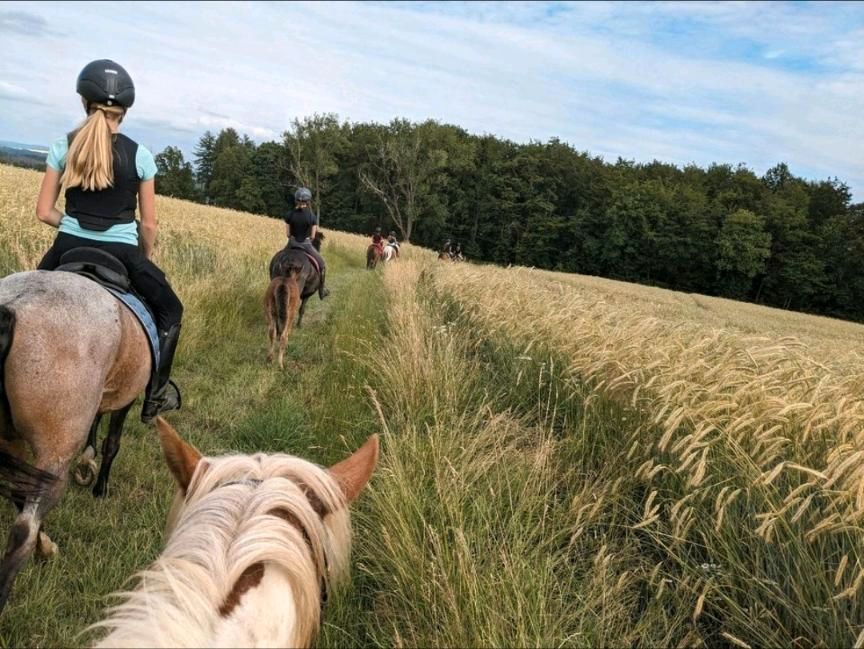 Reiterferien Sommer klein nicht überlaufen in Walterschen