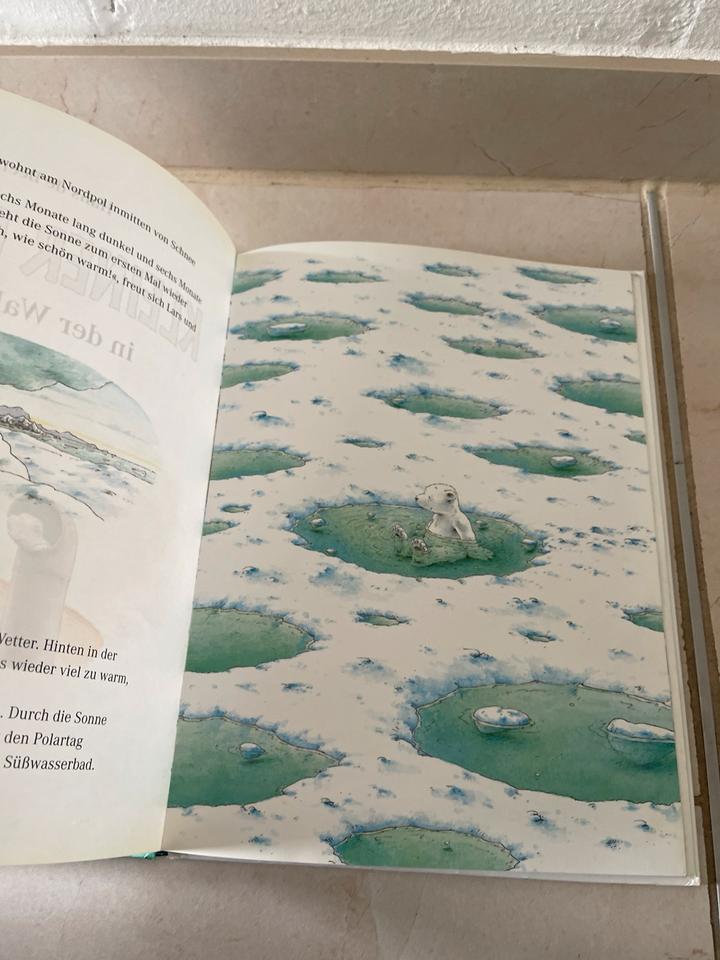 Kleiner Eisbär in der Walbucht von Beer Bilderbuch /2 in Nürnberg (Mittelfr)