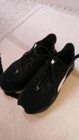 Puma leichte Mesh-Sneaker Turnschuhe Gr. 38,schwarz Nordrhein-Westfalen - Marl Vorschau