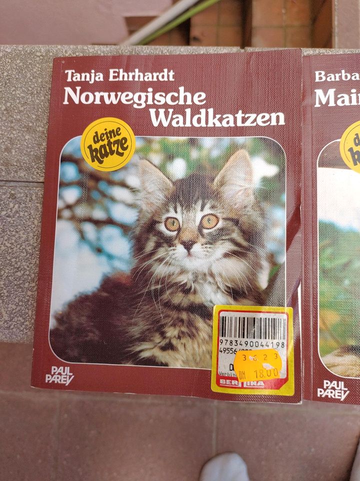 Verschenke vier Katzenbücher, verschiedene Katzenrassen in Rodgau