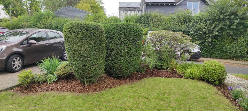 - Gartenpflege - Hecke schneiden, Rasen mähen, Baumfällung in Wipperfürth