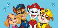 Paw Patrol Badetuch 70*140 cm Neu Niedersachsen - Saterland Vorschau