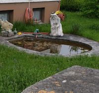 Teich Figur und Frosch Bayern - Asbach-Bäumenheim Vorschau