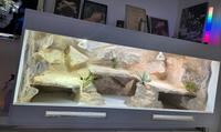 Terrarium 180x80x80cm weiß Berlin - Spandau Vorschau