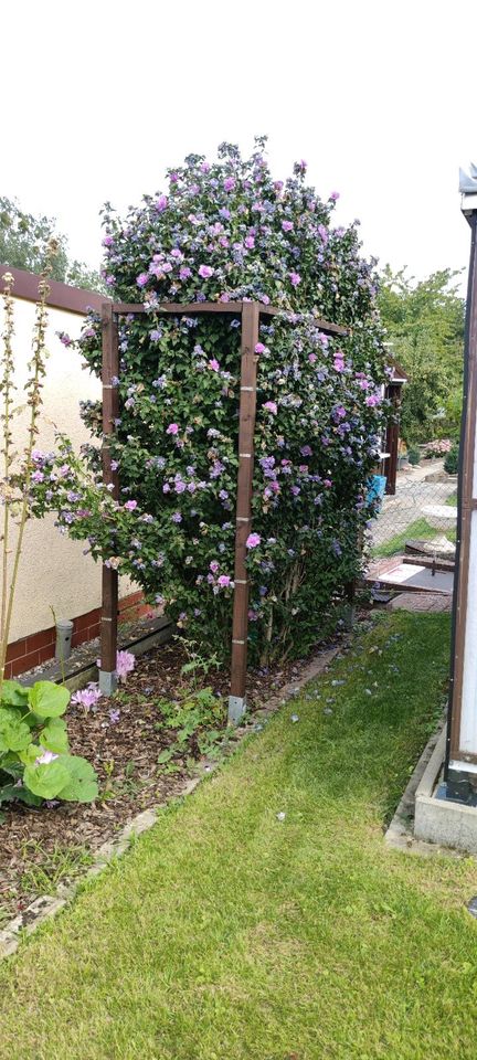 Verkaufe Garten mit Laube in Neubrandenburg