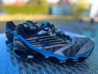 Mizuno Prophecy 5 Herren Runningschuhe Gr.42 Prototyp❗️ Brandenburg - Cottbus Vorschau