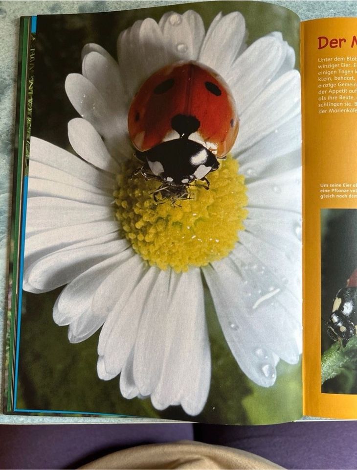 Buch: Tierkinder unserer Heimat“, neu in Dudenhofen