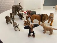 SCHLEICH - Dschungel- Set - 14 Tiere als Set zu verkaufen Brandenburg - Zehdenick Vorschau