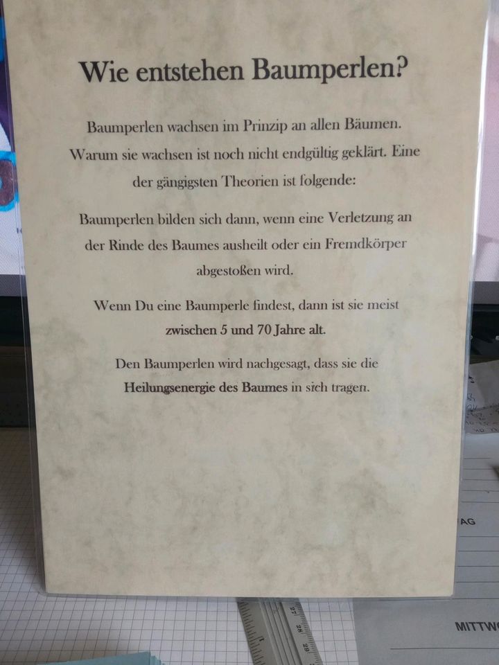 Baumperlen Kette Schlüsselanhänger Holz in Wittstock/Dosse