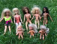 Diverse Barbie Puppen und viel Zubehör Bayern - Nittendorf  Vorschau