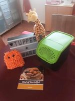 Tupperware Kartoffellager und Buch Bayern - Bad Wörishofen Vorschau