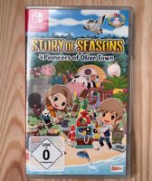 Nintendo Switch Spiel Story of Seasons Brandenburg - Brandenburg an der Havel Vorschau