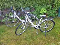 2x HERCULES Damenrad / Fahrrad / Cityrad / Trekkingrad 28“ Nordrhein-Westfalen - Hennef (Sieg) Vorschau