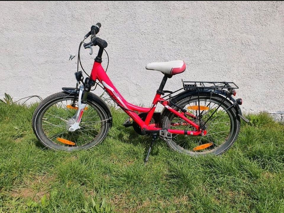 Fahrrad Rad Kinderrad Pegasus in Hammersbach