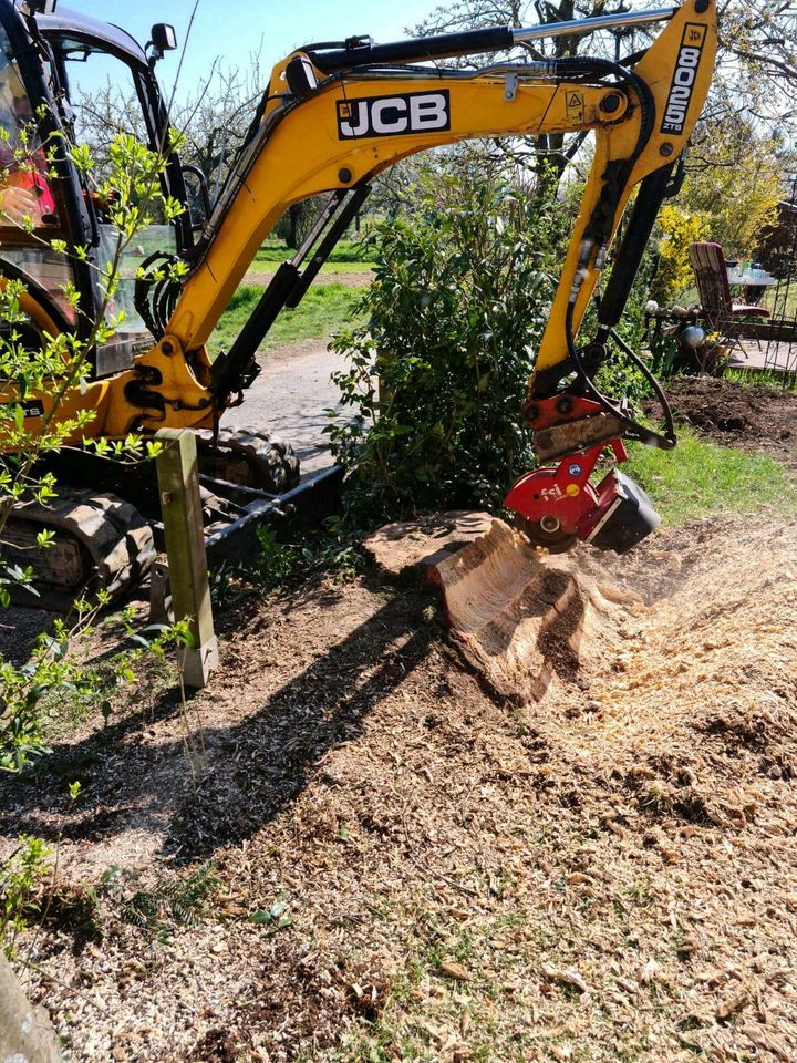 Baumfällung, Wurzelstock fräsen, Flächenrodung in Oberursel (Taunus)