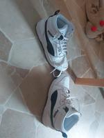 puma Schuhe gr 40 Thüringen - Artern/Unstrut Vorschau