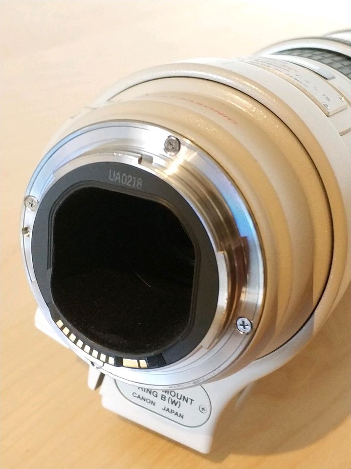 Canon EF 300mm f/4L IS USM Objektiv Tele Top Zustand in Hamm
