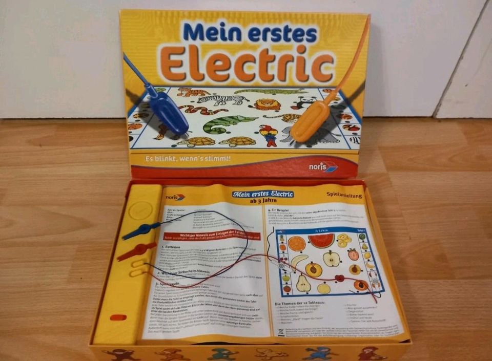 Mein erstes Electric - Spiel von NORIS 2011 in Altdorf