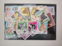 Ein Satz Katzen Briefmarken aus Paraguay Berlin - Mitte Vorschau