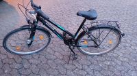 Zwei Zündapp Fahrräder, Damen und Herren Räder zu verkaufen. Rheinland-Pfalz - Kastellaun Vorschau