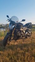 Verkaufe meine Yamaha FZ8 Mecklenburg-Vorpommern - Schwichtenberg Vorschau