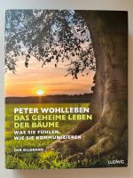 Das geheime Leben der Bäume von Peter Wohlleben Sachsen - Naunhof Vorschau