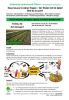 Ernteteil SoLawi, Gemüsekiste, Anteil Bio Gemüse, Bio Eier Bayern - Uehlfeld Vorschau