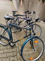 Fahrrad KTM Veneto Essen - Essen-Südostviertel Vorschau