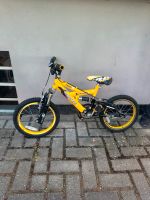 Fahrrad zu verkaufen Hessen - Hofgeismar Vorschau