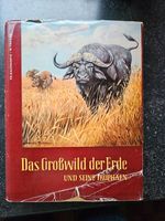 Das Grosswild der Erde und seine Trophaen – Haltennorth + Trense Lindenthal - Köln Weiden Vorschau