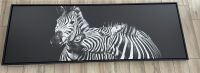 Alu-Dibond Wandbild Zebras Motiv 150x50cm Nordrhein-Westfalen - Mechernich Vorschau