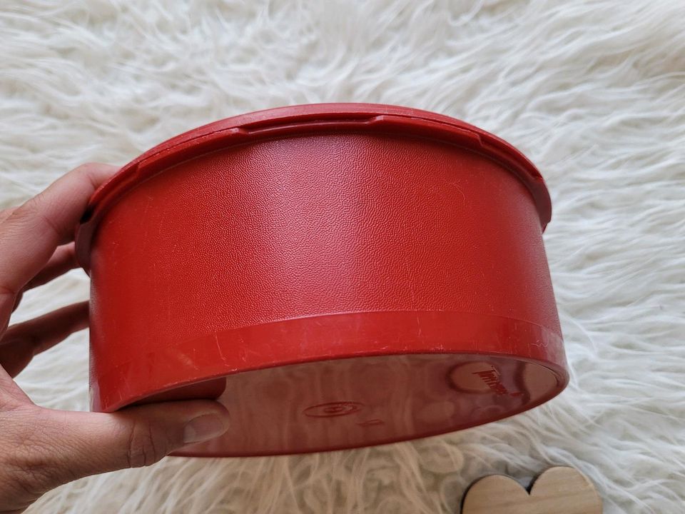 TUPPERWARE ⭐ Keksdose Servalier Box Deckel Sofortversiegelung rot in Floß