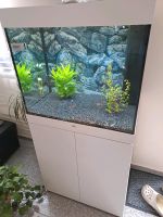 Juwel Aquarium, erst 3 Jahre alt, 200 Liter Nordrhein-Westfalen - Hagen Vorschau