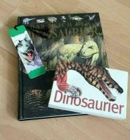 2 Dinosaurier Bücher Kids in Reich der Dinosaurier Niedersachsen - Uelzen Vorschau