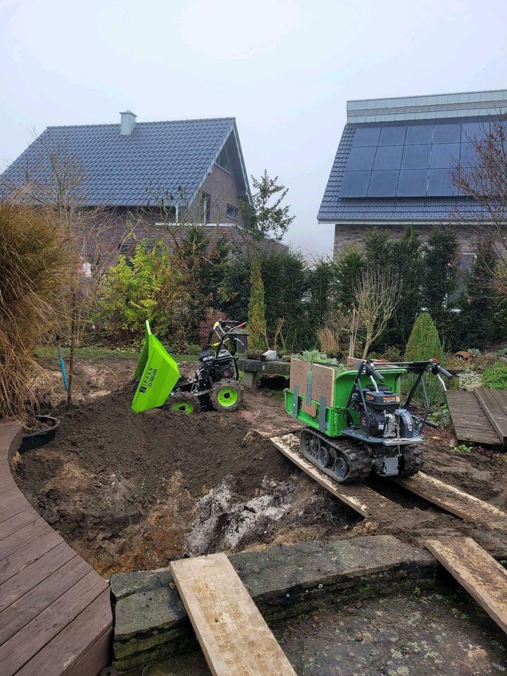 Gartenarbeit Gärtner Hecke schneiden Fläche  roden in Goch