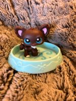 Littlest pet Shop Figur Chihuahua #219 Baden-Württemberg - Waldshut-Tiengen Vorschau