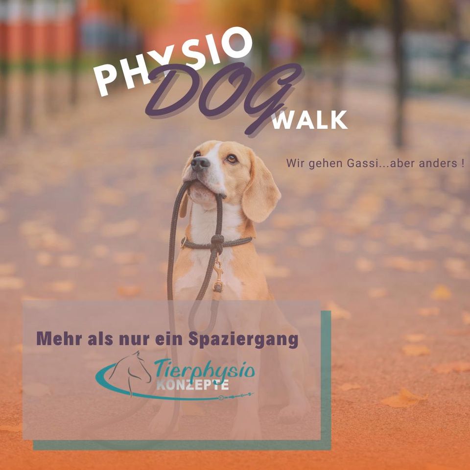 Hundephysiotherapie | PhysioDogWalk | Gassi in Köln