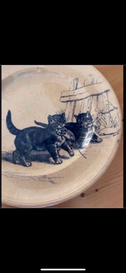 Antiker Minton Pottery Teller 19. Jahrhundert Katzen in Köln
