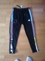 Adidas Primegreen Love Unites Pride Tiro Trainingshose Trackpants Hessen - Meißner Vorschau