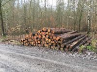 Fichte Brennholz Kaminholz 7srm Niedersachsen - Goslar Vorschau