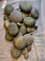 Aquarium Steine Pebble Stones Zen Pebbles Iwagumi - gebraucht - Baden-Württemberg - Dietenheim Vorschau