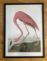 Flamingo Bild mit Bilderrahmen Düsseldorf - Bilk Vorschau